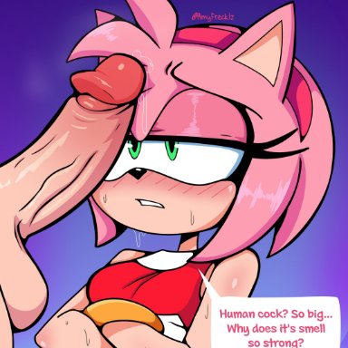 sonic (series), sonic the hedgehog (series), amy rose, amyfrecklz, blush, cock, crossed arms, furry, green eyes, huge cock, human, imminent oral, looking up, male, surprised