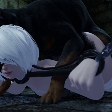 nier (series), nier: automata, yorha 2b, blueberg, 1girls, android 2b, bestiality, blindfold, bondage, canine, canine on human, chained, lying on stomach, nier automata, thighhighs