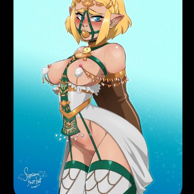 nintendo, tears of the kingdom, the legend of zelda, princess zelda, zelda (tears of the kingdom), forbiddenfruitbat, my pet tentacle monster, 1girls, armbinder, arms behind back, arms bound, arms bound behind back, ball gag, bdsm collar, bdsm gear