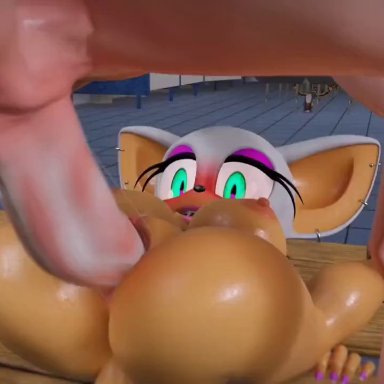 sonic (series), sonic the hedgehog (series), rouge the bat, palewdas arts, big breasts, big penis, fishnets, furry, makeup, mating press, stomach bulge, vaginal penetration, compilation, no sound, tagme