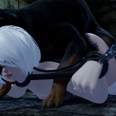 nier, nier (series), nier: automata, yorha 2b, blueberg, tantibius, 1boy, 1girls, blindfold, bondage, canine, canine on human, chained, chains, dungeon