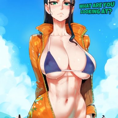 one piece, nico robin, yelua, 1girls, beach, bikini, black hair, female, female only, green eyes, large breasts, looking at viewer, navel, open clothes, pov