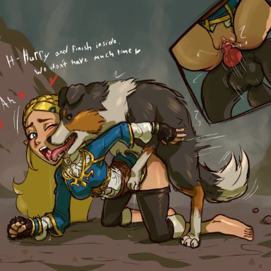 the legend of zelda, hylian retriever, princess zelda, zelda (breath of the wild), pears (artist), 1girls, ahe gao, barefoot, canid, canid on humanoid, canine, canine genitalia, canine on human, canine penis, demigoddess