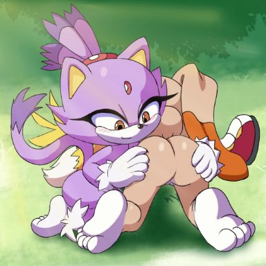 sega, sonic (series), sonic the hedgehog (series), blaze the cat, cream the rabbit, miles prower, tails the fox, arevix, ichduhernz, all fours, anthro, anus, ass, ass up, bisexual