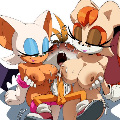 sega, sonic (series), sonic the hedgehog (series), cream the rabbit, miles prower, mobian (species), rouge the bat, tails the fox, vanilla the rabbit, coolerinker, inker comics, inkershike, 1boy, 2girls, animal ears