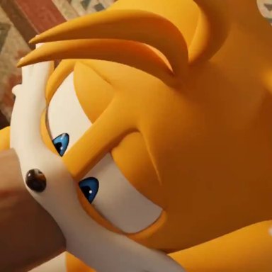 sega, sonic (series), tails the fox, aidenz, 2boys, anal, anal sex, big ass, big penis, blowjob, femboy, gay, huge ass, huge cock, 3d (artwork)