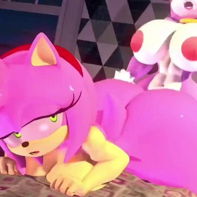 sega, sonic (series), sonic the hedgehog (series), amy rose, blaze the cat, leviantan581re, silescobaltacorn, 1futa, 1girls, ambiguous penetration, anthro, anthro on anthro, anthro only, anthrofied, areolae