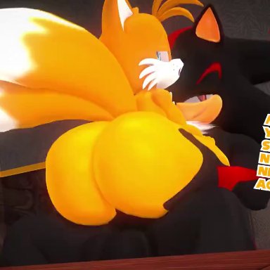 sonic (series), sonic the hedgehog (series), shadow the hedgehog, tails the fox, leviantan581re, 2boys, anal, anal penetration, anal sex, anthro, ass, balls, big ass, bubble butt, cuckold