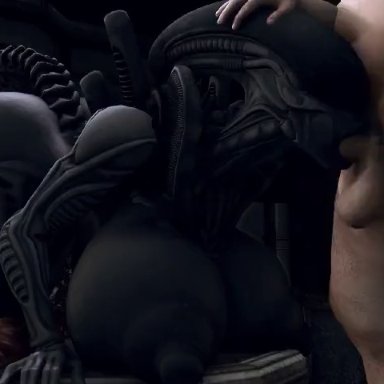 alien (franchise), female xenomorph, xenomorph, rayhuma, 1boy, 1futa, big ass, big breasts, dat ass, deepthroat, face fucking, fellatio, futanari, futanari/male, huge ass