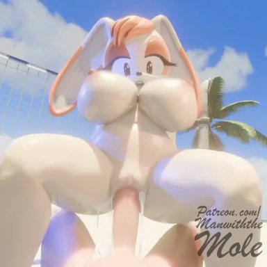 sega, sonic the hedgehog (series), vanilla the rabbit, manwiththemole, anthro, anthro focus, anthro penetrated, bodily fluids, body part in pussy, clothing, consistent pov, cum, cum from pussy, cum in pussy, cum inside