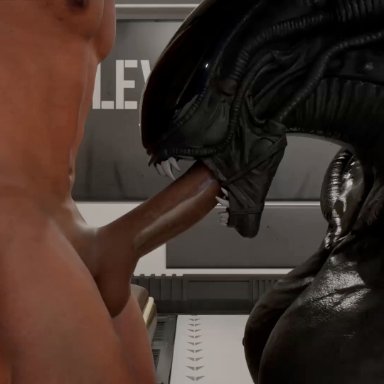 alien (franchise), xenomorph, xenomorph queen, cronicle (artist), alien, ass, big breasts, big butt, big female, bodily fluids, breasts, cum, cum in mouth, cum inside, duo