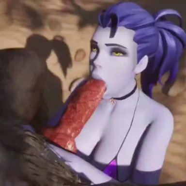 overwatch, widowmaker, rekin3d, 1boy, 1girls, animal genitalia, blowjob, bra, breasts, deepthroat, furry, knot, on knees, oral, purple body