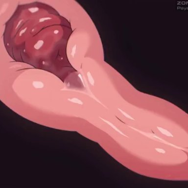 zonkpunch, animal genitalia, canine penis, dog penis, inside view, knot, knotted, penetration, penis in pussy, precum, precum drip, precum in pussy, zoophilia, animated, shorter than 30 seconds