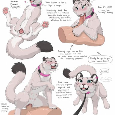 digitoxici, anatomically correct, anatomically correct genitalia, anatomically correct pussy, animal genitalia, animal pussy, anthro, anthro penetrated, anus, blue eyes, bondage, claws, collar, cougar, cowgirl position